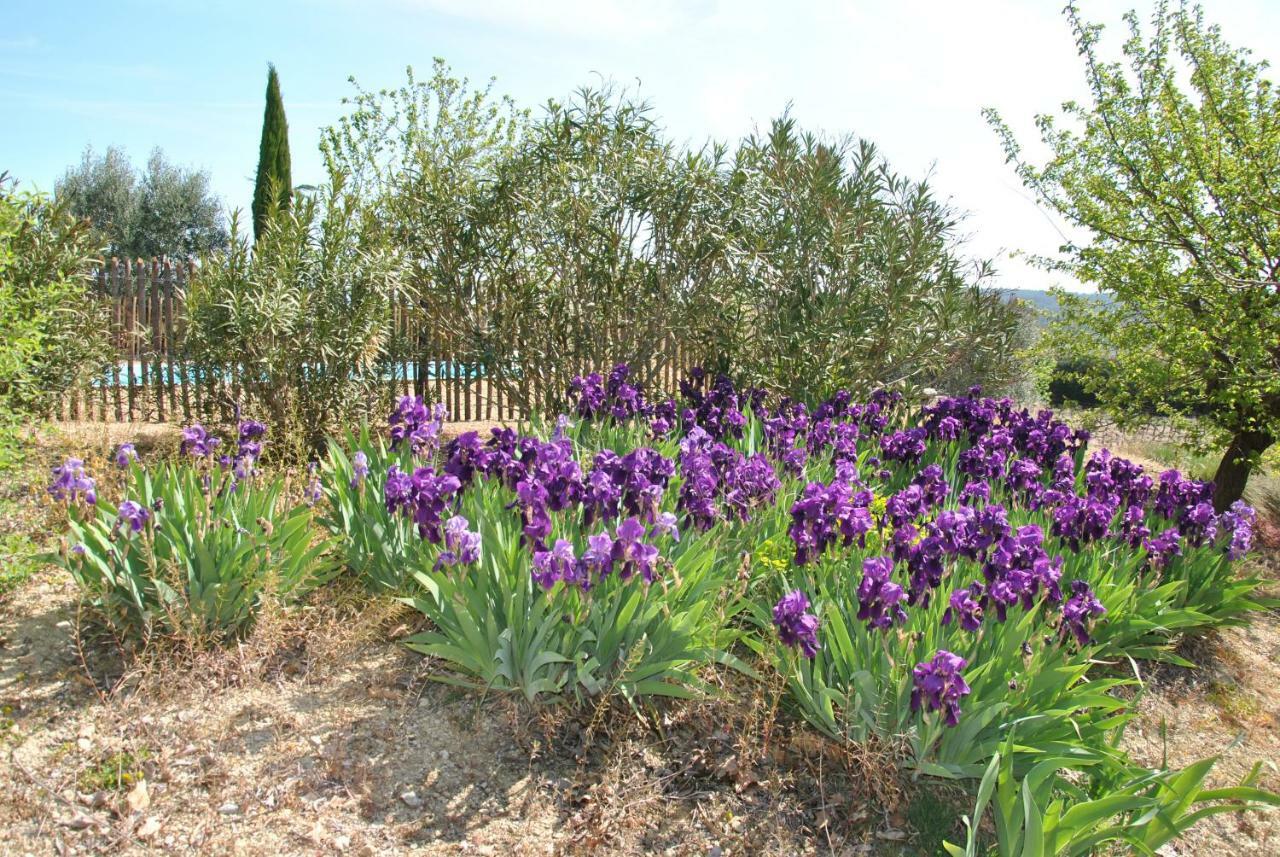 Maison Chemin d'Uzès Blauzac  Exterior foto